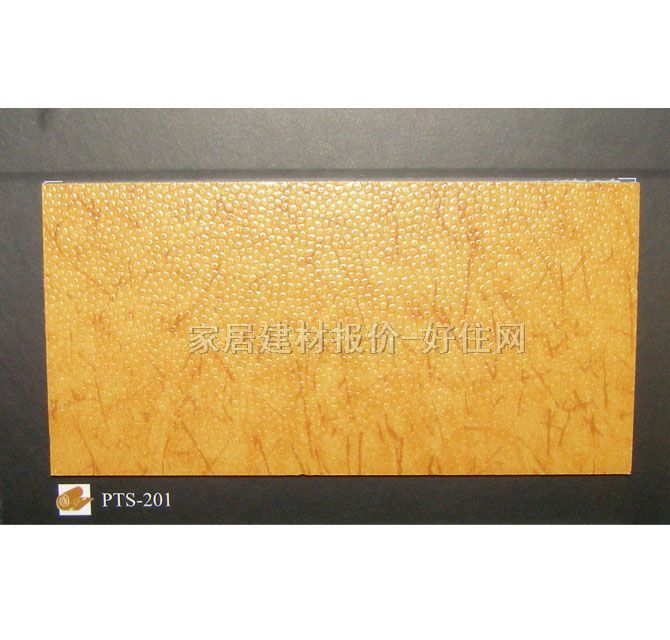 帕特斯卷材PVC塑料地板 PTS-201 2×20M