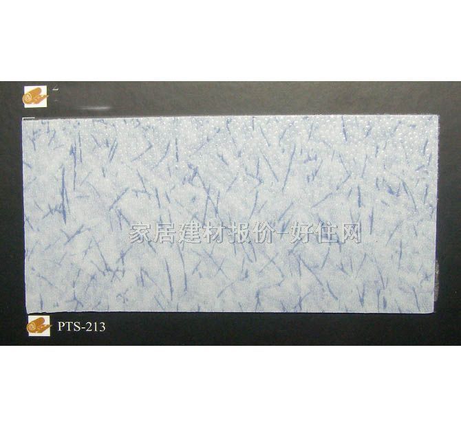 帕特斯卷材PVC塑料地板 PTS-213 2×20M