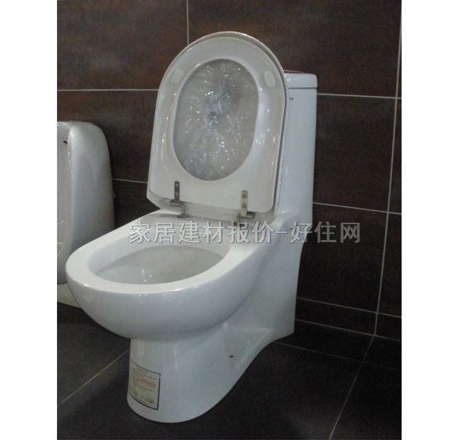 東鵬連體馬桶坐廁 W057105TPQ 未知