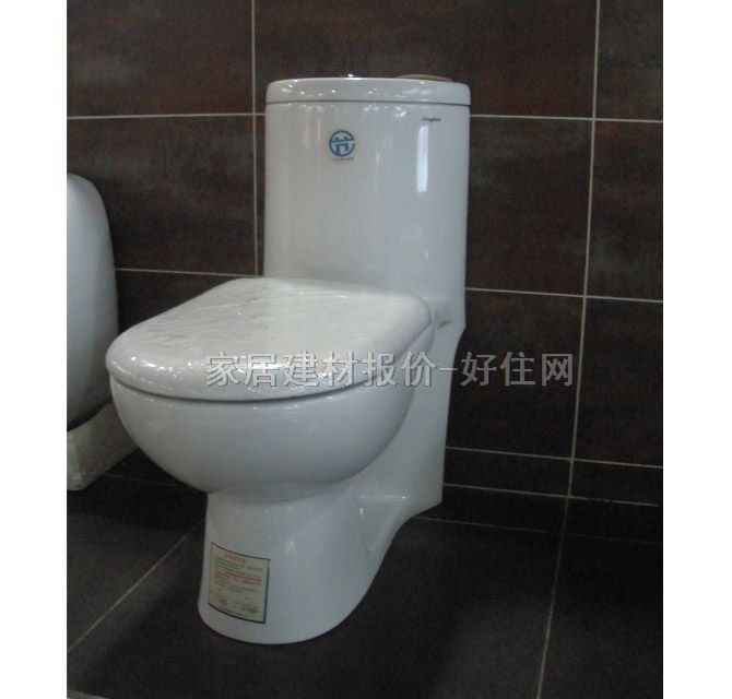 東鵬連體馬桶坐廁 W057105TPQ 未知