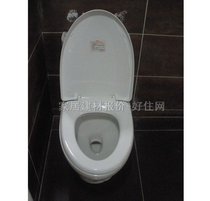 東鵬連體馬桶坐廁 W102105TYQ 未知