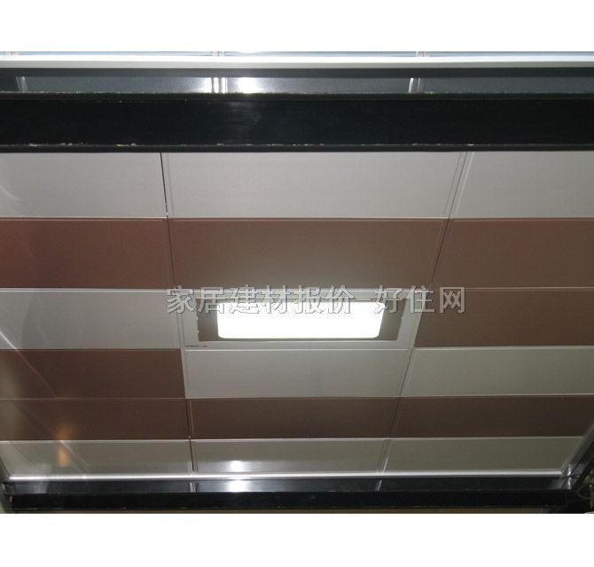 鴻牌廚衛(wèi)集成吊頂燈 H35-2D01 72w 單照明