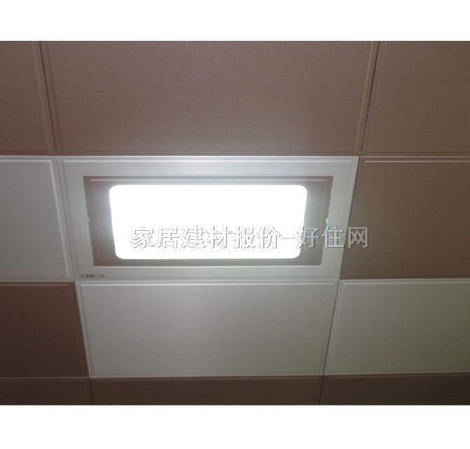 鴻牌廚衛(wèi)集成吊頂燈 H35-2D01 72w 單照明