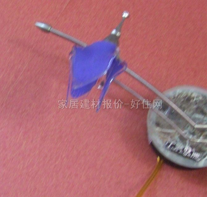 ̫���Rǰ��  С���2038/2 ��ʽ���� �������|(zh��) ��ɫ ��(ji��)�ܟ�