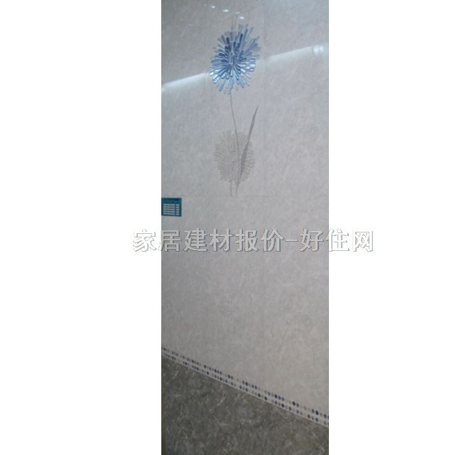 薩米特墻磚花片 62455H7 300×600mm