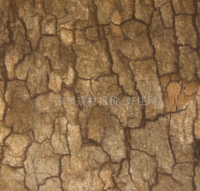 ������ɯ����u ����uůɫ�y��D�����SɫӢ����ĸDY2612M 300mm�� 450mm