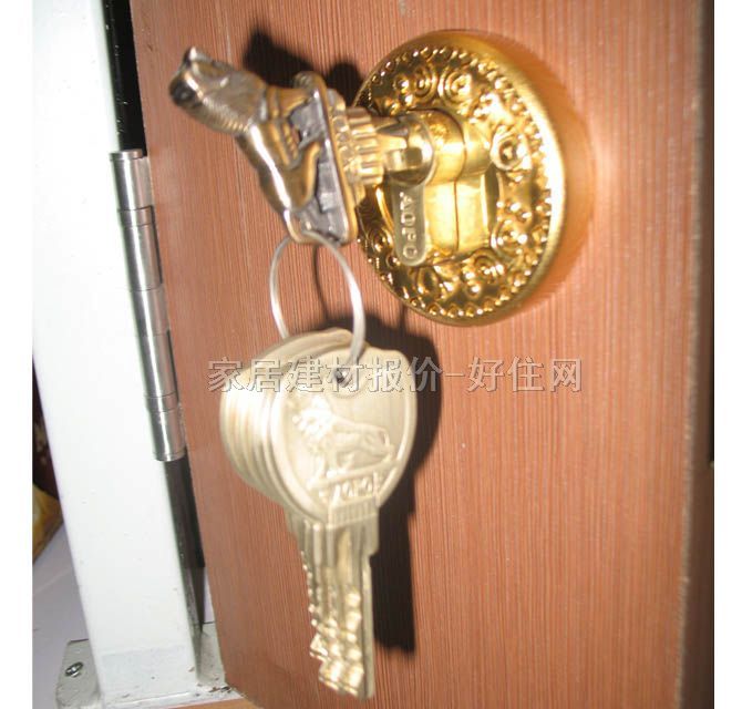 �W��ľ�T�i  DS928 SG/GP 45mm-55mm �S���~ ��(zh��)���i �S���~ɫ