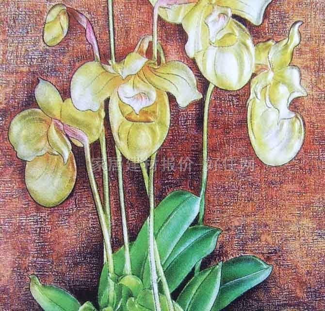 �ɖ|��ˇ���� ��������mF-109 12��