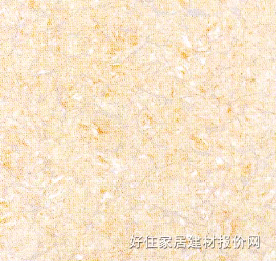 展鵬地磚 拋光磚LA0601 600mm×600mm