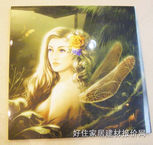 ׿Դ�شu��Ƭ zy0001 300mm��300mm