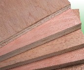 ï����ͨ�z�ϰ�  2440mm��1220mm����5mm 