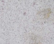 ��ǻ����r ����� �L(zh��ng)600mm����600mm 