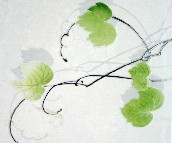 �W�҉��u��Ƭ APPX90053-2A 300��450mm 