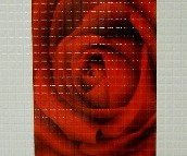 ��ˇ�҉��u��Ƭ 42026 300��600mm 