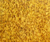 ���������_(t��i)��ʯ�� ���Ҽt�����r ӆ�� 