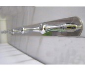 ���� ���^���^ ���^ CT1361-6     