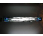 �����l(f��)�Rǰ�� 6603 �������� 