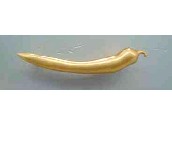 �ѻ����T������� �Sɫ019628064 �Ͻ�