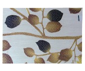 ������ɯ���u��Ƭ DY2003K2M 300��450mm 