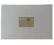 ������ɯ���u��Ƭ DYF2005M 300��450mm 