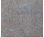 �����յشu �¹ŴuKGFA051513 150mm��150mm 