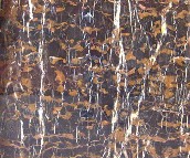 형�����ʯ ���ϴ��ڽ� ��20mm 