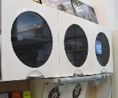 ��ʢ�N������ ��ɫ ����� 