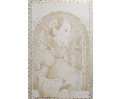 ���Չ��u��Ƭ 2-2D452080E1-WH 300��450mm 