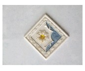 ��(chu��ng)ʢ���u��Ƭ 909AJ 300��450mm 