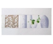 ��(chu��ng)ʢ ��Ƭ 60mm��300mm ����919BC1     