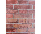 Jianya ���� 0.53��10M 7403  �u�y �tɫ  