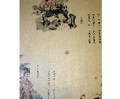 ���l(f��) ���� 0.53��10.05M PVC C930761  ���� ��ɫ  