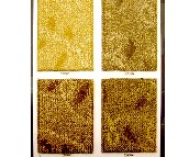 ���l(f��)�k���ÝM䁵�̺ TQN8062 4M 