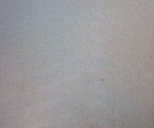 �ְ� ��ȻľƤ���� 2440mm��1220mm����4mm E1��(j��)��Ӱ     