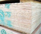 �ְ���ͨ�z�ϰ�  2440mm��1220mm����12mm 