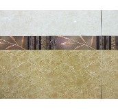 ��������Ƭ ����yc4643H 60mm��300mm 