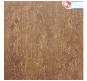 �|�i �شu 600mm��600mm ����uYF601737_A     