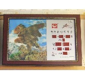 �Wِ�ؒ�犡��՚v ��(sh��)�a��Ϣ�v�� 3DM13-1# 350��500mm 