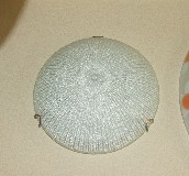 ��־ ��픟� �A�� �P����픟�8001/2 ��300mm �|�ρ��L(f��ng)�� ĥɰ�ײ��� δ֪w 