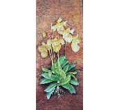 �ɖ| ��ˇ���� 12�� ��������mF-109     