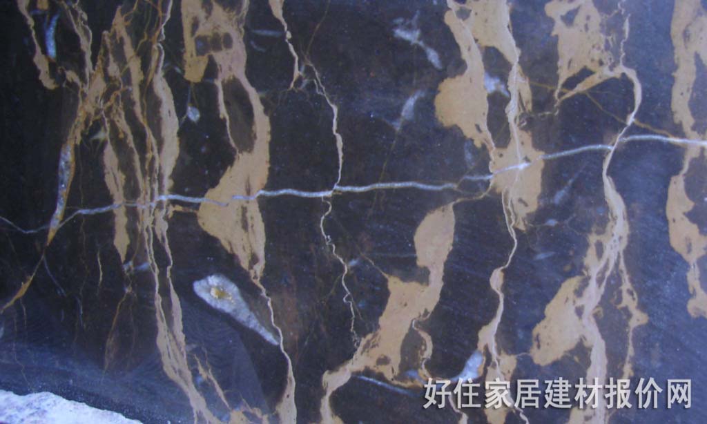 挪威大理石 挪威黑金花 800mm×800mm