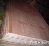 ��(chu��ng)���yȼ�z�ϰ�  2440mm��1220mm����5mm 