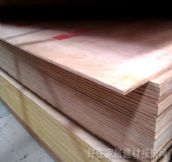 ��ɭ�yȼ�z�ϰ�  2440mm��1220mm����5mm 