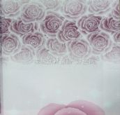 ���� 8904-1 ����2.8M 