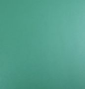 ���m �K��PVC���ϵذ� 304mm��304mm����1.6mm ��ɫ��͸��ϵ��P003 ��ɫ    