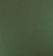 ���m �K��PVC���ϵذ� 304mm��304mm����1.6mm ��ɫ��͸��ϵ��P007 ��ɫ    