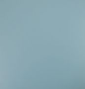 ���m �K��PVC���ϵذ� 304mm��304mm����1.6mm ��ɫ��͸��ϵ��P004 ��ɫ    