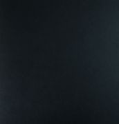 ���m �K��PVC���ϵذ� 304mm��304mm����1.6mm ��ɫ��͸��ϵ��P002 ��ɫ    