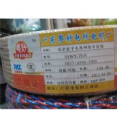 �����о��ҕͬ�S��| SYWV-75-5 100�� 