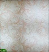 �v�ơ��Ű� ͸��ʯ �L(zh��ng)2440mm����1220mm����5mm TY-501     